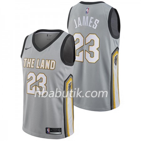 NBA Mænd Trøje Cleveland Cavaliers LeBron James 23 Nike City Edition Swingman